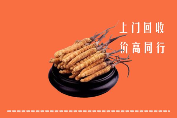 日喀则回收冬虫夏草