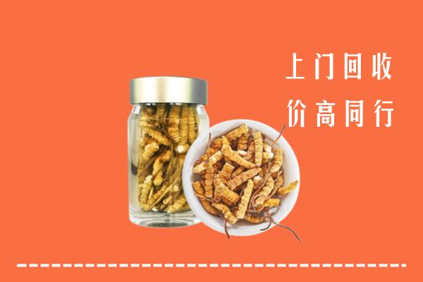日喀则回收冬虫夏草